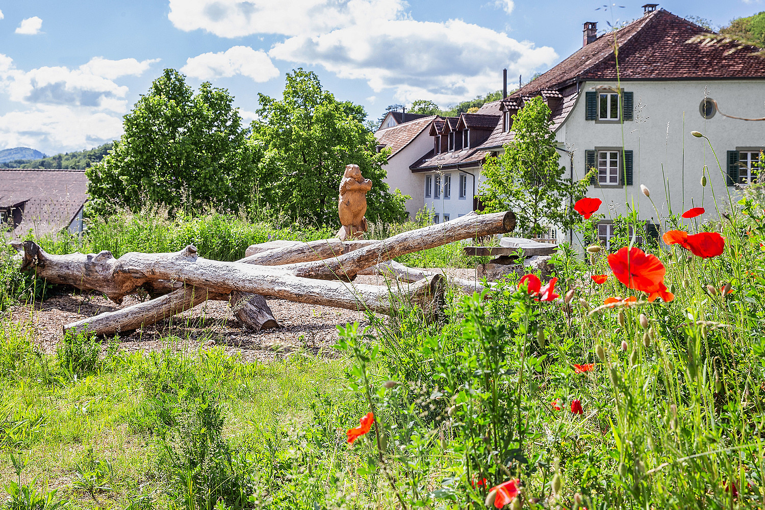 Einfache Massnahme mit grosser Wirkung: In Biberstein (AG) konnte eine Brache inmitten des Dorfes zu einem richtigen Dorfplatz umgestaltet werden. Im Bild die Totholzstämme, die als Klettermöglichkeit für die Kleinen dienen.