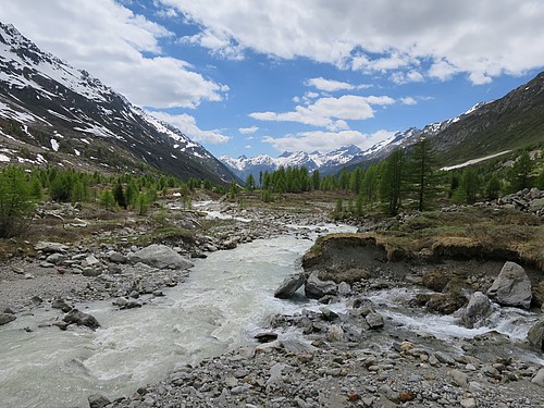 Der beliebte Rundweg über die Fafleralp führt oft der Lonza entlang.                 