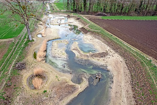 Ein Biodiversitäts-Hotspot auf 65 Metern Breite bei St-Aubin (FR)