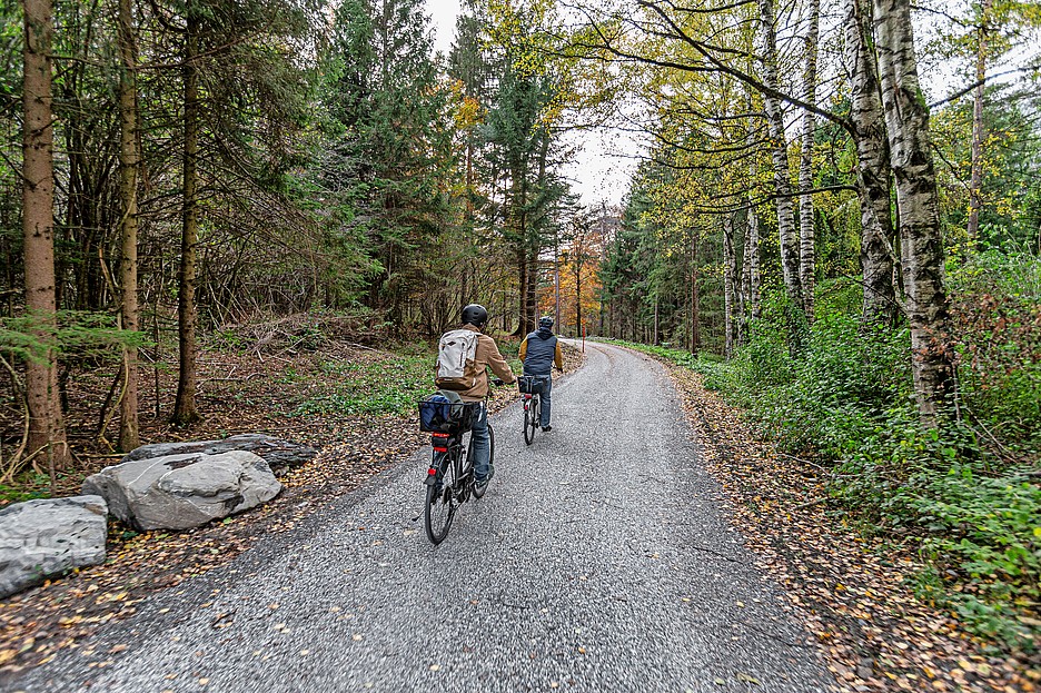 Eine spezielle Chaussierung der Waldwege sichert deren ökologischen und visuellen Wert und ermöglicht gleichzeitig den reduzierten Winterdienst.