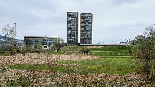 Die Stadt Luzern nutzte die Chance, einen Teil des ehemaligen Waffenplatzes «Allmend» mit Teichen, Heckenpflanzungen und der Anlage von Blumenwiesen für die Natur aufzuwerten. Gleichzeitig schuf sie damit ein sehr geschätztes Naherholungsgebiet für die Bevölkerung. Solche Projekte könnten auch im Rahmen von «Aufschwung für die Vogelwelt» realisiert werden. 