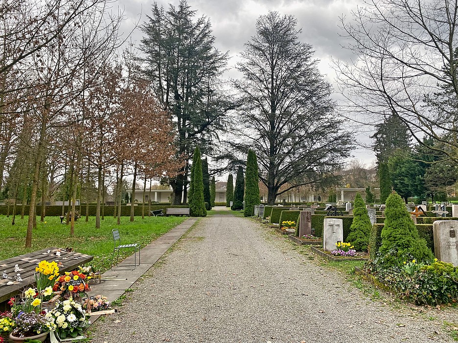 Friedhof Friedental: Links unter den Bäumen werden Urnen beigesetzt, rechts traditionelle Gräber.
