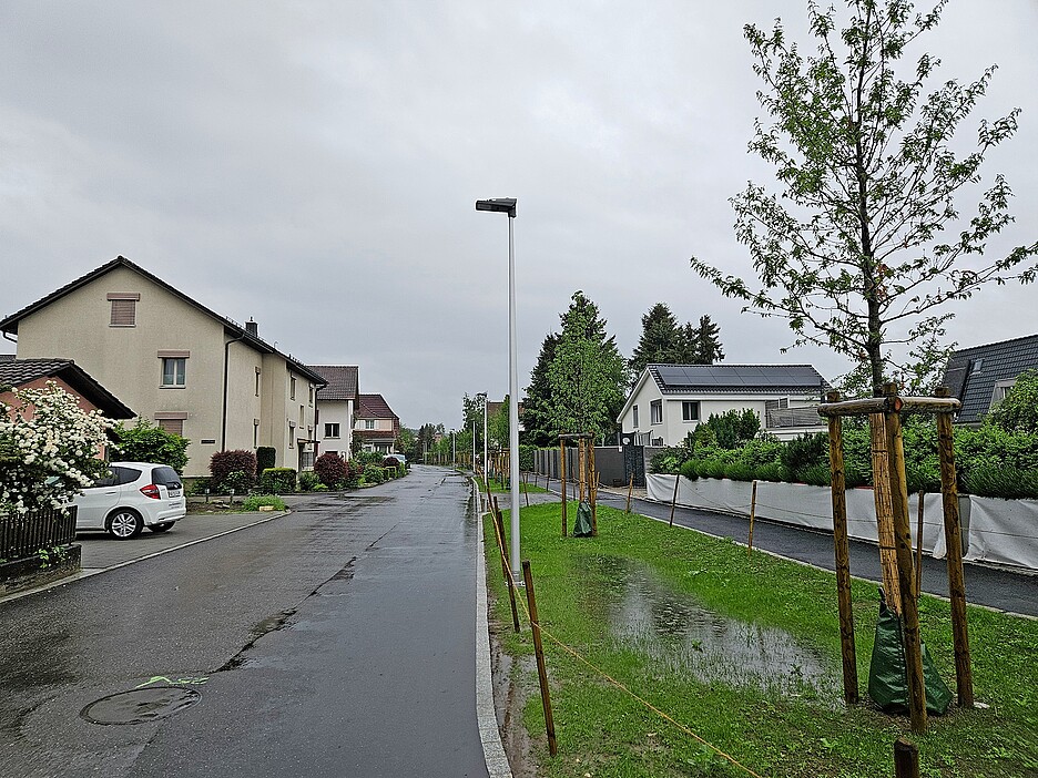 An einem regnerischen Tag sammelt sich das Wasser in Mulden: Das Schwammstadtprinzip funktioniert.