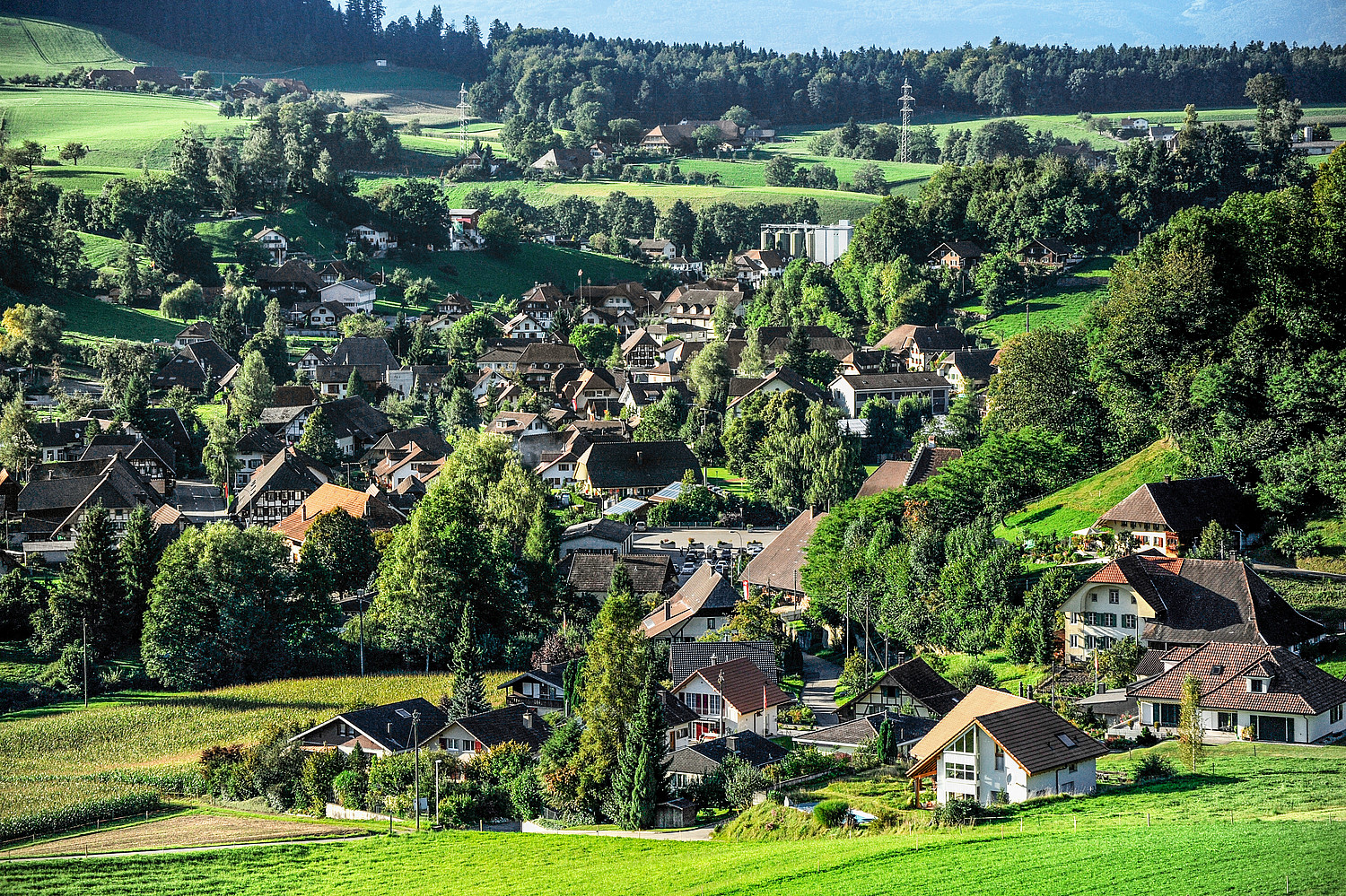 Die idyllische Gemeinde Melchnau im Oberaargau hat eine beeindruckende Palette ökologischer Massnahmen umgesetzt.  