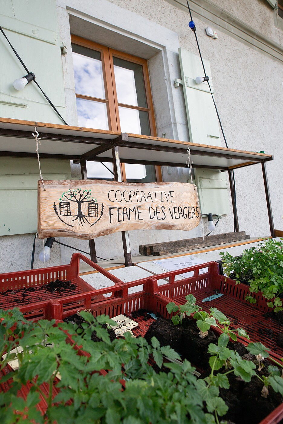 In Meyrin betreibt die Kooperative «Ferme des Vergers» Gemüseanbau.