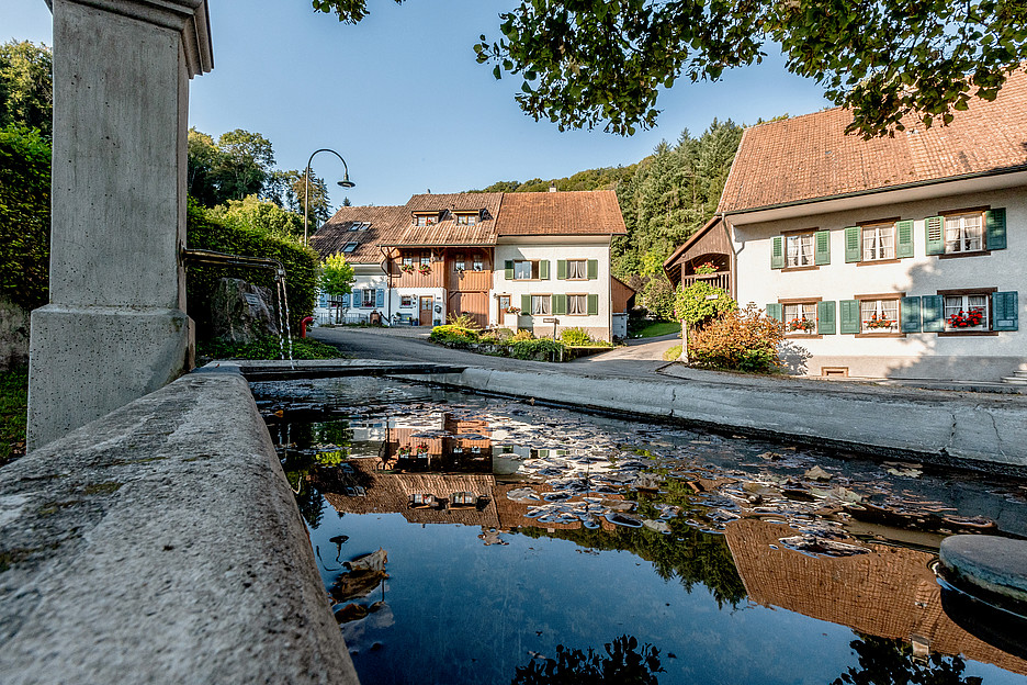 Die Aargauer Gemeinde Münchwilen hat ihre IT in einem externen Rechenzentrum untergebracht. Denn auch eine kleine Gemeinde mit 1000 Einwohnerinnen und Einwohnern ist nicht vor Cyberangriffen gefeit.