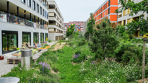 Quartier d’une ville éponge avec fossés d’infiltration, rez-de-chaussée et ouvertures de bâtiments surélevés. 
Photo: Théo Gardiol/ Canton de Genève