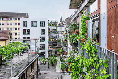 Ein Bild aus der Publikation «Vokabular des Zwischenraums – Gestaltungsmöglichkeiten von Rückzug und Interaktion in dichten Wohngebieten» des Instituts für Architektur (IAR) und des Kompetenzzentrums Typologie & Planung in Architektur (CCTP) der Hochschule Luzern – Technik & Architektur.