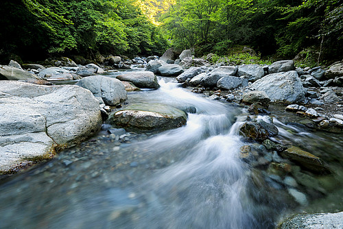 Das Bundesgericht hat sich jüngst in drei Entscheiden mit der Kostentragung bei Ölwehreinsätzen und bei der Entsorgung von gefährlichen Chemieabfällen auseinandergesetzt.
