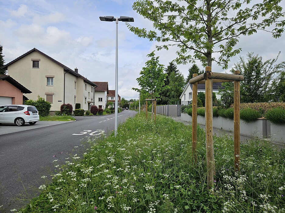 Die Natur blüht am Eisengrubenweg in Zofingen (AG).