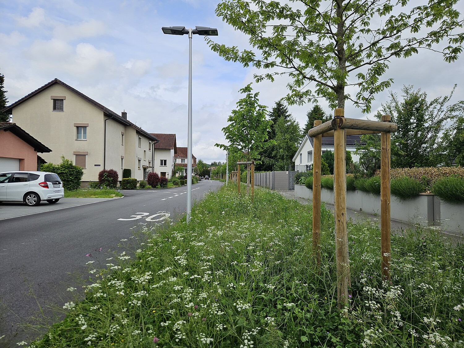 Die Natur blüht am Eisengrubenweg in Zofingen (AG).