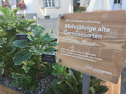 In Lichtensteig stehen überall in der Stadt Hochbeete, deren Ertrag von der Bevölkerung genutzt werden darf.