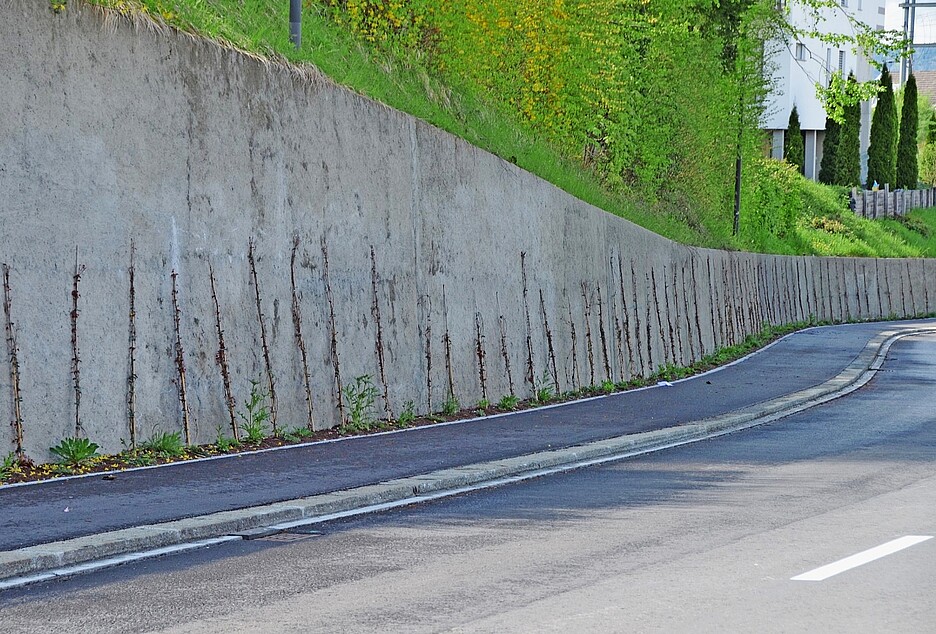 Begrünte Wände entlang von Strassen.