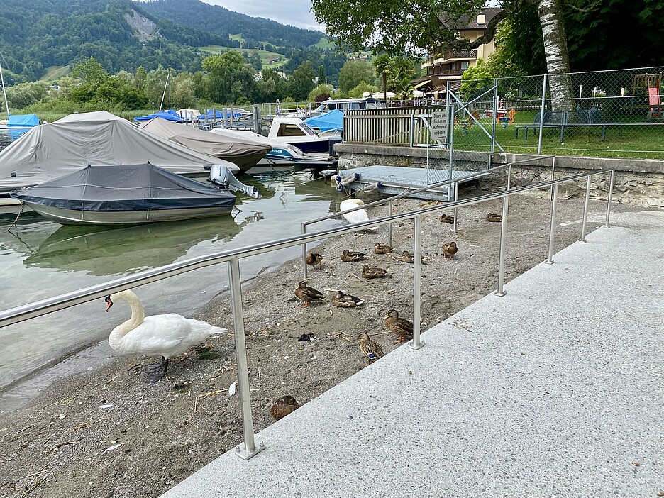 Die Rampe beim Sternenmätteli: Die Seeströmung hat Sand angeschwemmt.