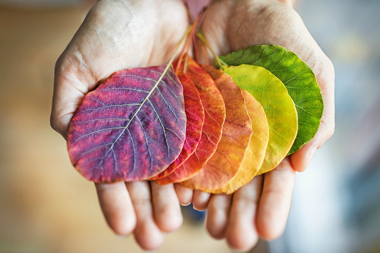 Mit guten Vorsorgelösungen können sich Gemeinden als attraktive Arbeitgeberinnen positionieren.