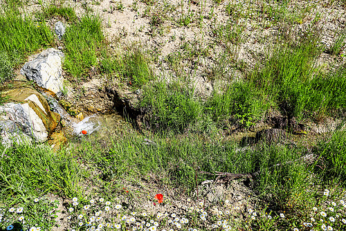Schwellen verhindern eine übermässige Sohlenerosion.