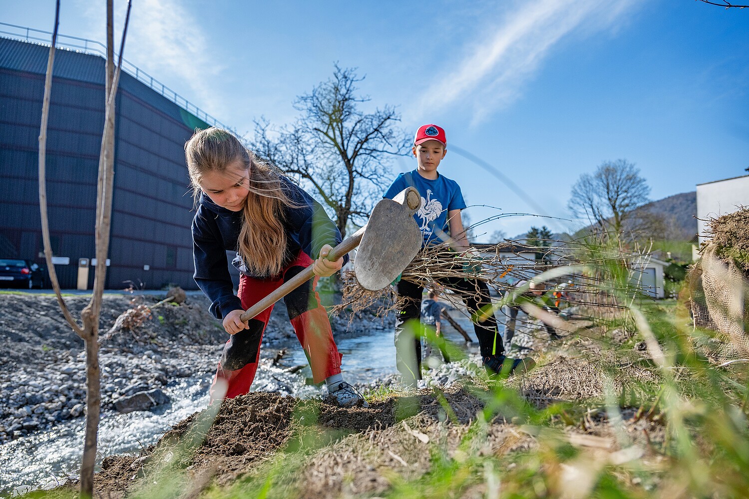 Die neu gestaltete Böschung wurde von der Primarschule Sevelen bepflanzt – ein lebendiger Lernort direkt am Wasser.