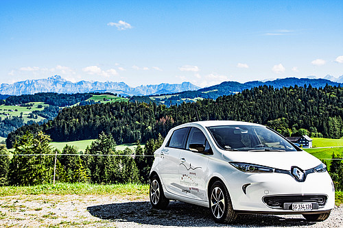 Ein Auto von «Sponti-Car»: Viele Gemeindeangestellte nutzen diesen Mobilitätsdienst.